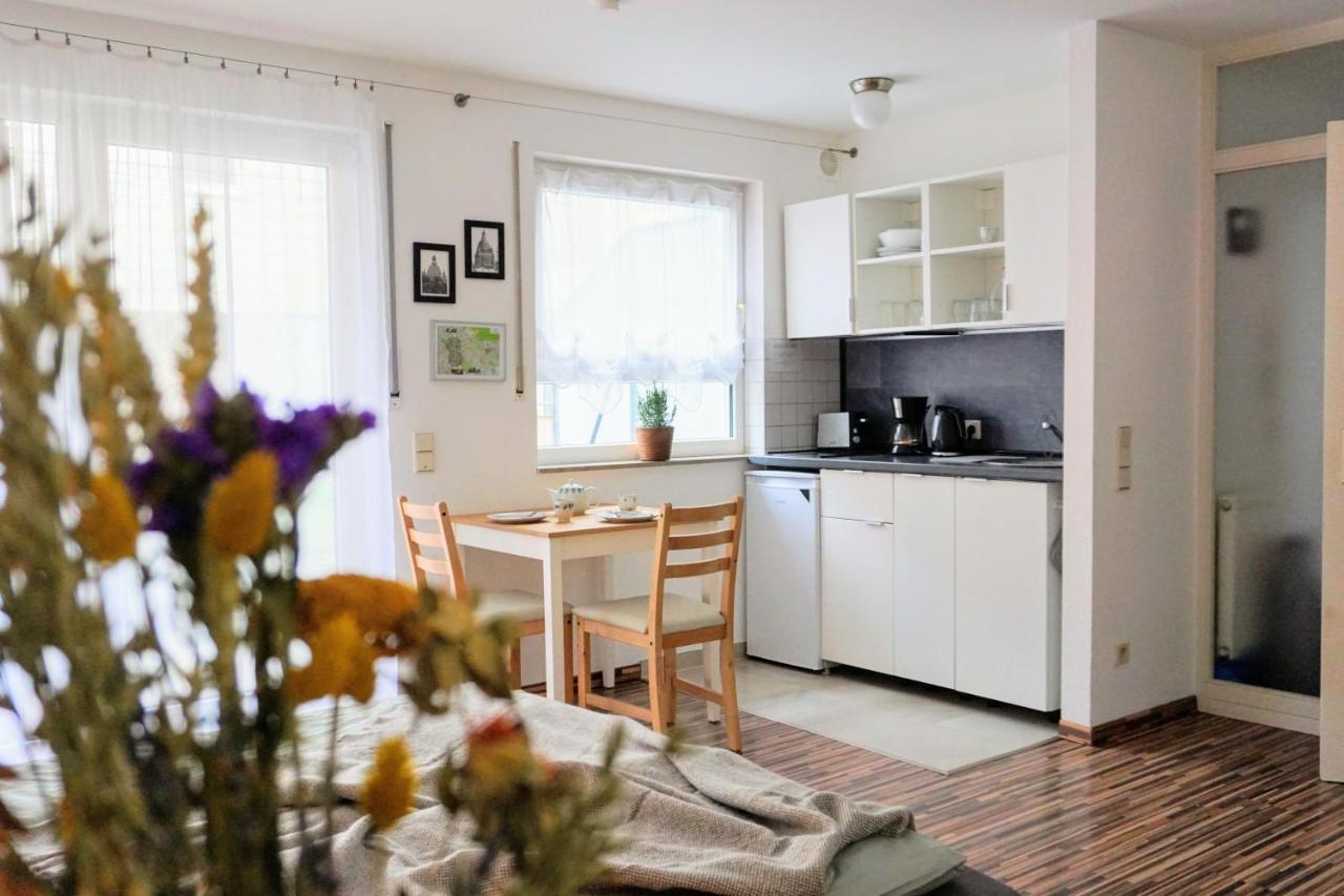 Gemuetliche Ferienwohnung In Ruhiger Lage دريسدن المظهر الخارجي الصورة