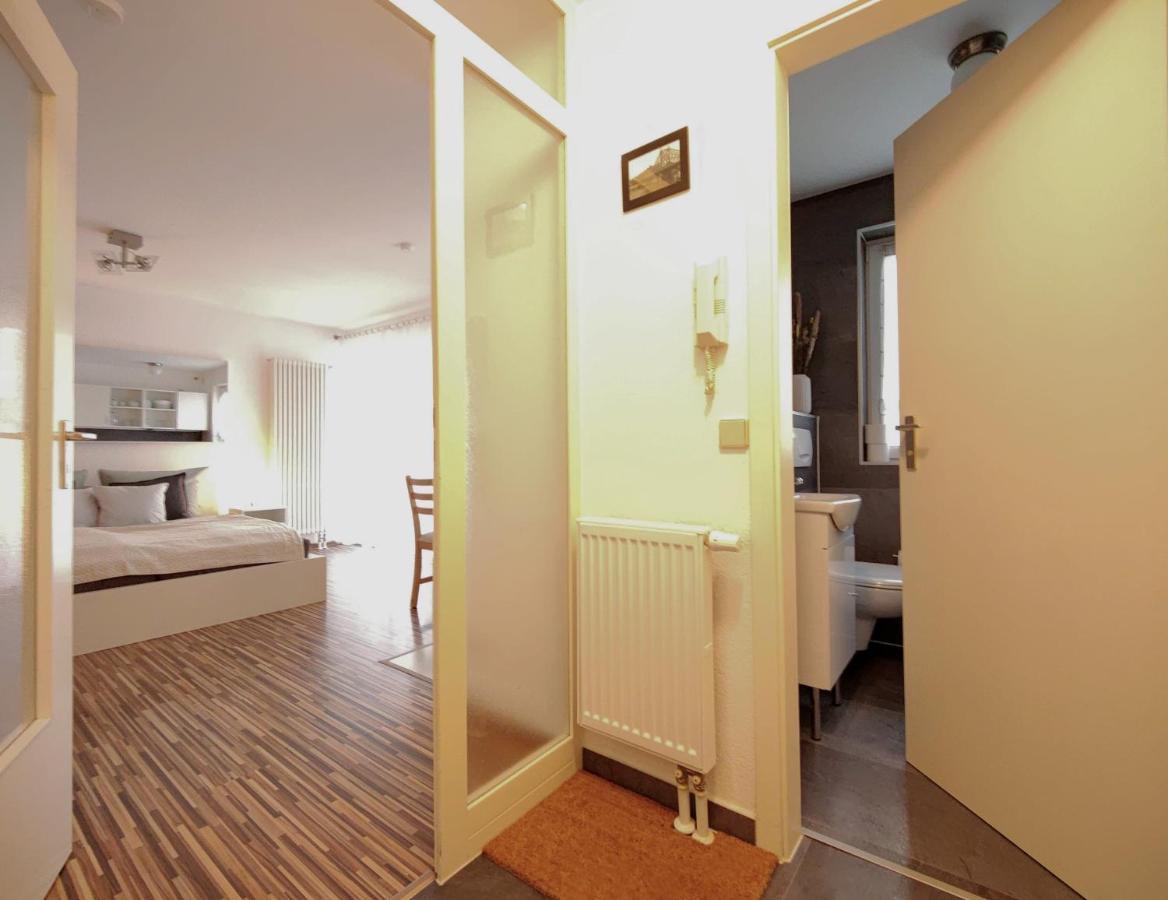 Gemuetliche Ferienwohnung In Ruhiger Lage دريسدن المظهر الخارجي الصورة